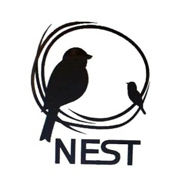 نست